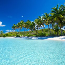 Fisher Travel