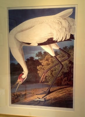 Audubon House & Tropical Gardens by null