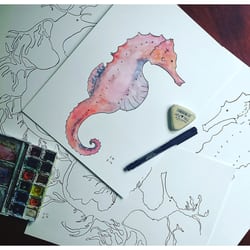 Purple Porcupine Art Studio - Ink and watercolor sketches