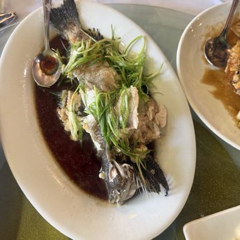 H K Café - Dim Sum Near Me - Portland, Oregon H K Café - Dim Sum Near Me - Portland, Oregon