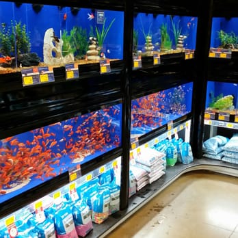 PetSmart - Nicely kept fish tanks. - Pet Training Near Me - Shakopee, Minnesota PetSmart - Nicely kept fish tanks. - Pet Training Near Me - Shakopee, Minnesota
