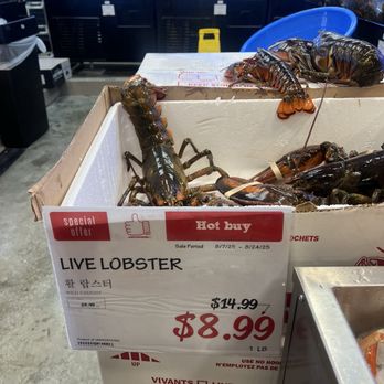H Mart - Westminster - Live Lobster $8.99 - Grocery Near Me - Westminster, California H Mart - Westminster - Live Lobster $8.99 - Grocery Near Me - Westminster, California