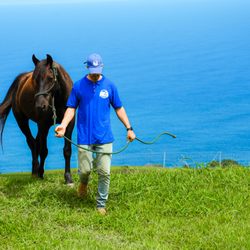 Pali Nana Farms - Ocean view rides