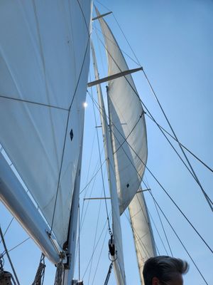 Schooner Woodwind Sailing Cruises by null