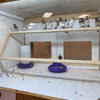 Forever Pets - Enclosed area for small birds - Pet Services Near Me - San Antonio, Texas Forever Pets - Enclosed area for small birds - Pet Services Near Me - San Antonio, Texas