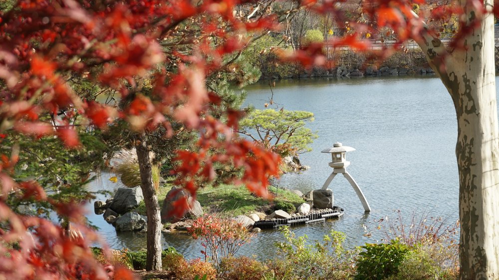 KOKORO PSYCHOLOGY Updated June 2024 Buffalo, New York Counseling