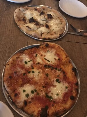Squirrel's Pizza Bull Street by null