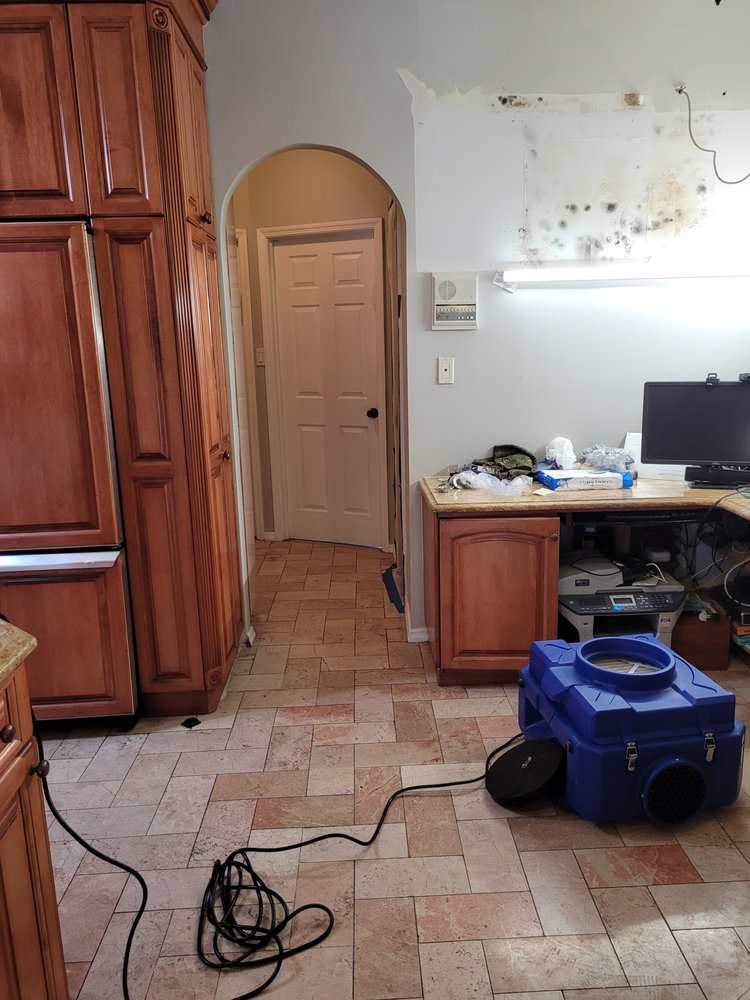 Slide of Whac A Mold