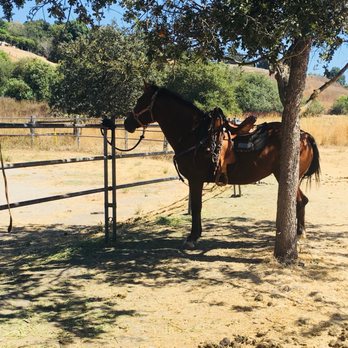 Chaparral Ranch - Horseback Riding Near Me - Woodside, California Chaparral Ranch - Horseback Riding Near Me - Woodside, California