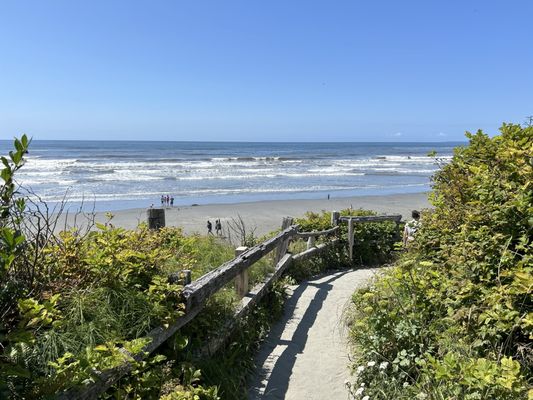 Kalaloch Campground by null