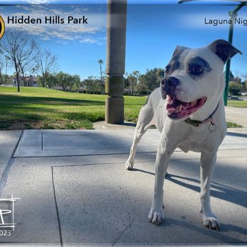 Hidden Hills Park - HAPA Boy's favorite thing to do is visit this quaint, neighborhood park. It was here he received his basic obedience training. - "Good boy." - Parks Near Me - Laguna Niguel, California