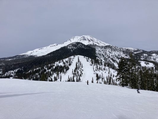 Mt. Shasta Ski Park by null