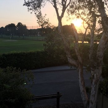 My Tree Experts - Tree Services Near Me My Tree Experts - Tree Services Near Me