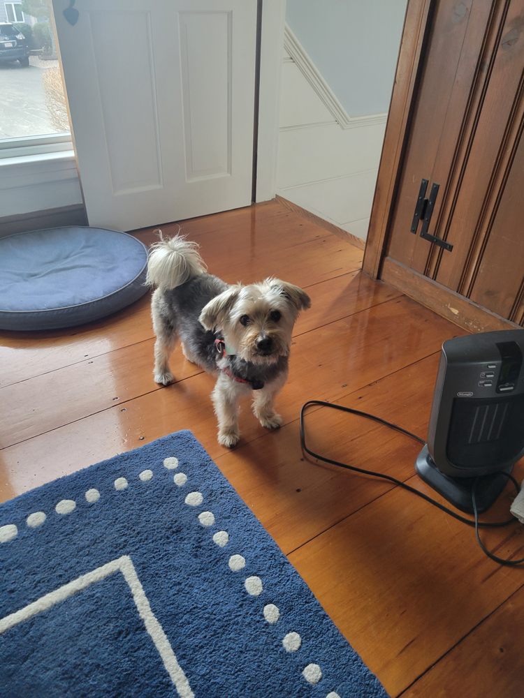 DAWG CITY PET SUPPLY & NUTRITION CENTER Updated September 2024 10