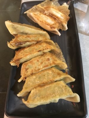 Tokyo Dumpling by null