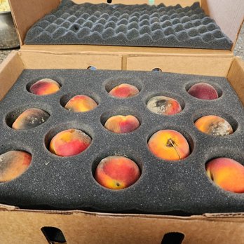 Georgia Peach World - Rotten peaches! - Specialty Food Near Me - Townsend, Georgia