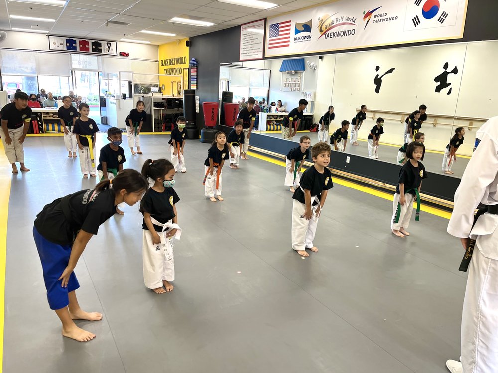 Black belt world Taekwondo