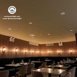 The Monkey King - Beautiful space.
