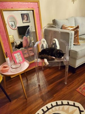 Pasadena Humane by null
