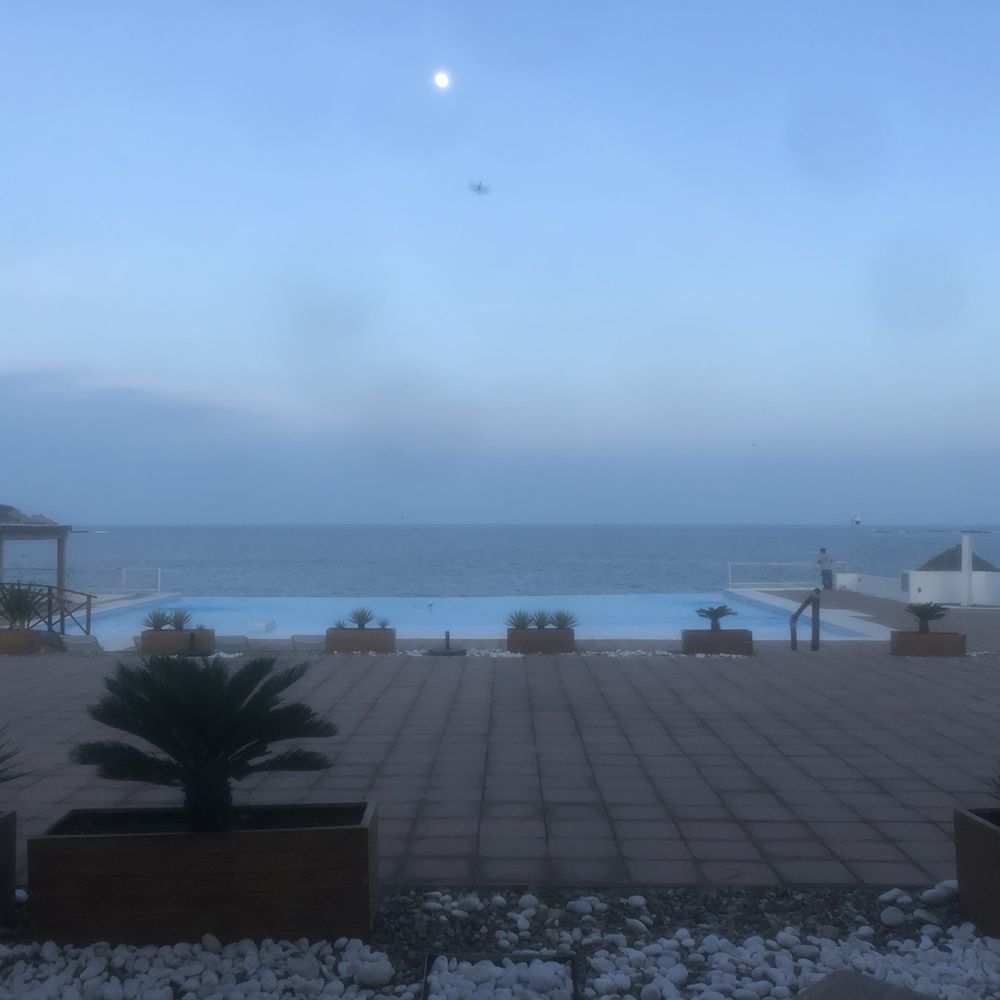 View from our table