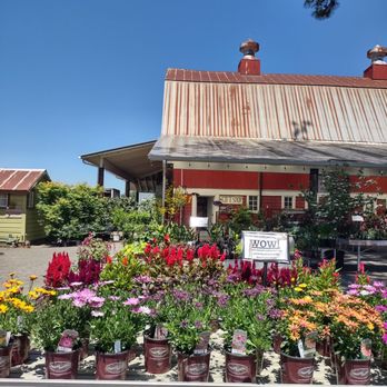 Blooming Junction - Blooming Junction - Nurseries & Gardening Near Me - Cornelius, Oregon