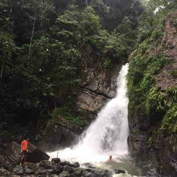 El Yunque Rainforest - Hiking Near Me - Luquillo, Puerto Rico