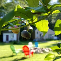 A&E BnB - Aandebnb.com