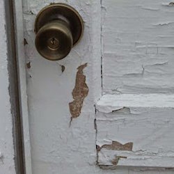 Bay Hill Environmental - Chipping and Peeling Paint