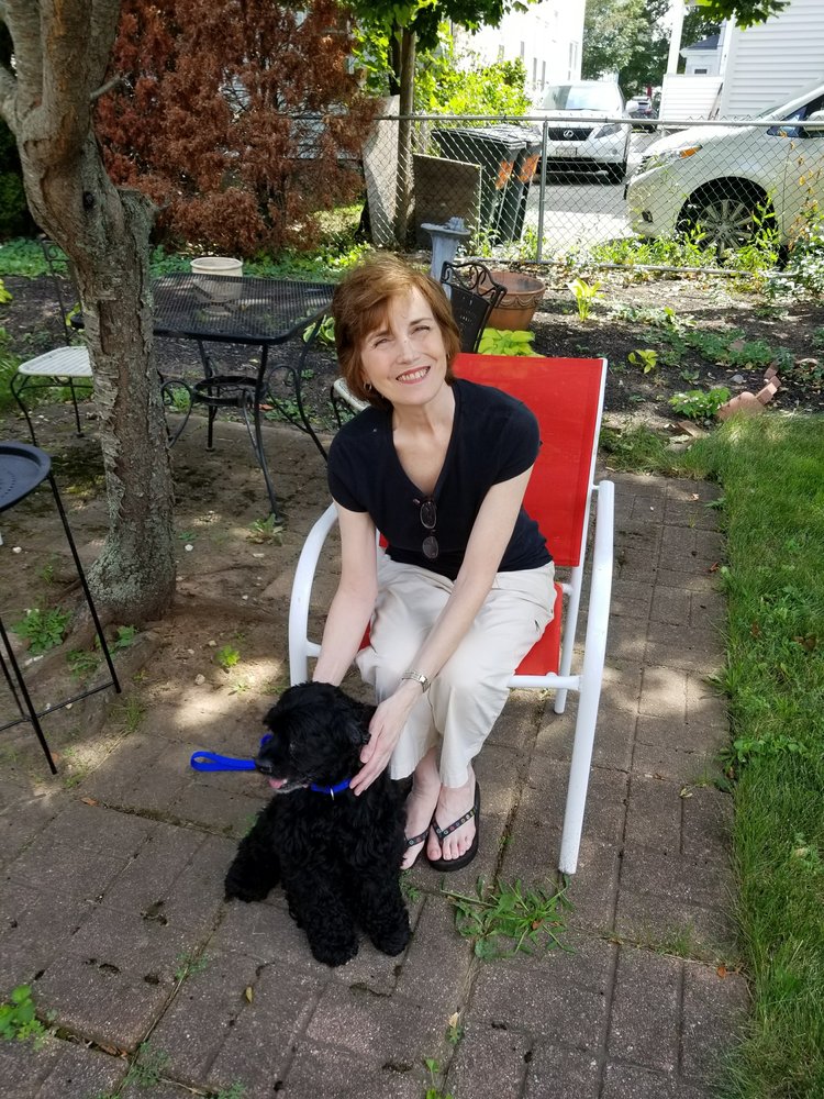 QUINCY ANIMAL SHELTER Updated August 2024 15 Reviews 440R East