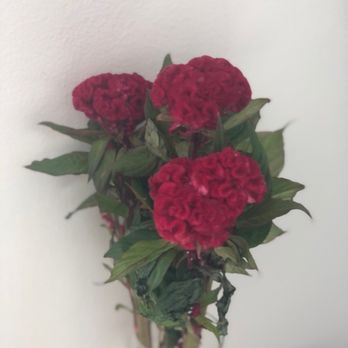 Metropolitan Market - Bought myself flowers. - Grocery Near Me - Mercer Island, Washington Metropolitan Market - Bought myself flowers. - Grocery Near Me - Mercer Island, Washington