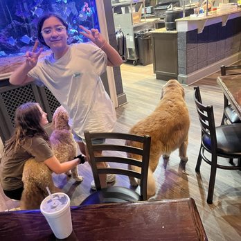 Juliette Falls - Dining area and dogs - American Near Me - Dunnellon, Florida