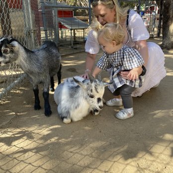 OC Zoo Irvine Regional Park - GOATS - Parks Near Me - Orange, California OC Zoo Irvine Regional Park - GOATS - Parks Near Me - Orange, California