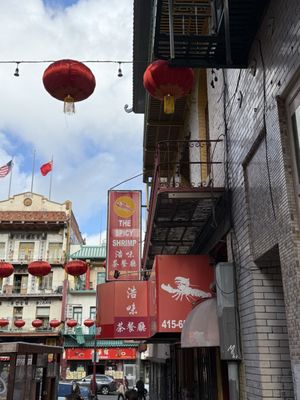 The Spicy Shrimp by null