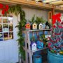 Photo of New Dungeness Nursery