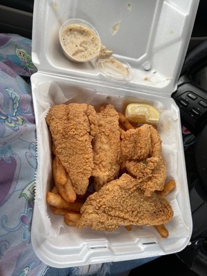 Catfish Station by null