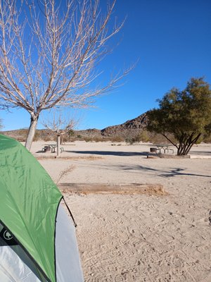 Camping place Joshua Tree by null