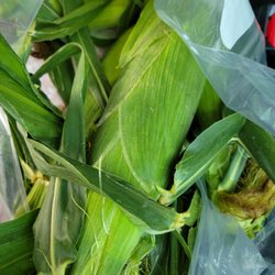 Witten Farm Market - Corn on the cob