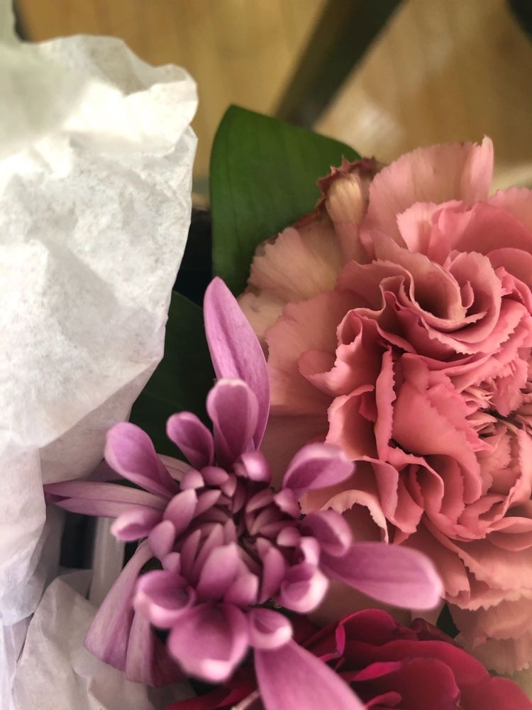 MAYFIELD FLOWERS Updated August 2024 19 Photos 16620 109 Avenue