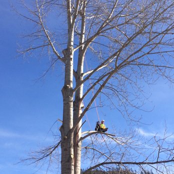 Done Right Tree Service - Tree Services Near Me - Merritt, British Columbia