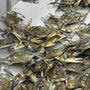 Photo of T H Seafood