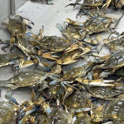 T H Seafood