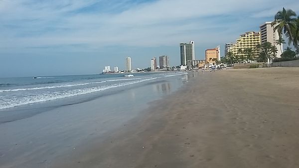 Puravida by null