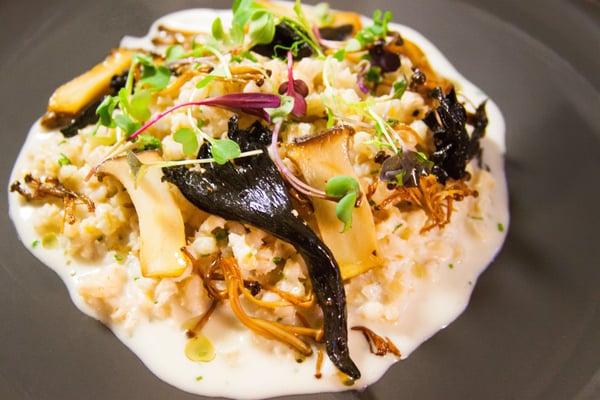 Zone Healthy Organic Meal Delivery by null