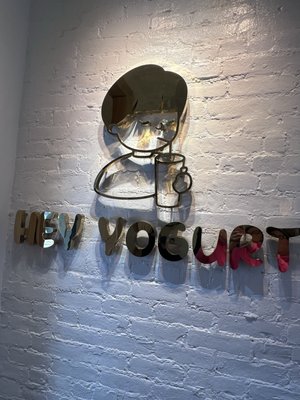 Hey Yogurt by null