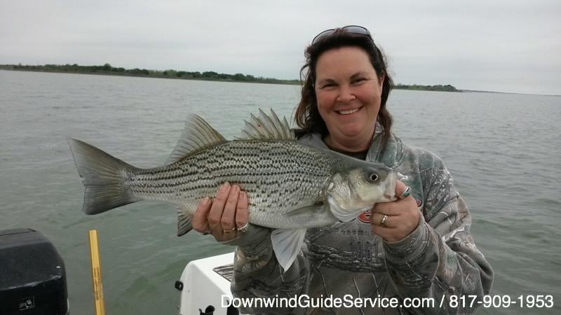 Downwind Guide Service Logo