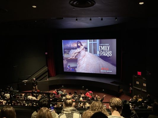 The Paris Theater by null