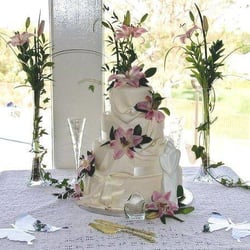 The SoCal Cakery Co