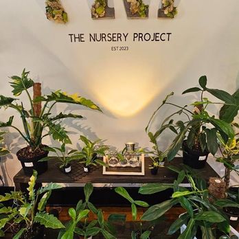 The Nursery Project - Nurseries & Gardening Near Me - Orlando, Florida The Nursery Project - Nurseries & Gardening Near Me - Orlando, Florida