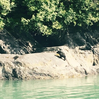 Adventure Bound Alaska - da Bears! - Travel Services Near Me - Juneau, Alaska Adventure Bound Alaska - da Bears! - Travel Services Near Me - Juneau, Alaska