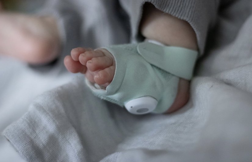 JUST IN CASE FOUNDATION Updated August 2024 15991 6th Rd, Plymouth